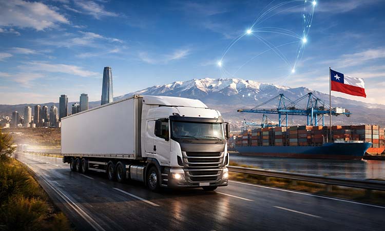 importancia de la logistica